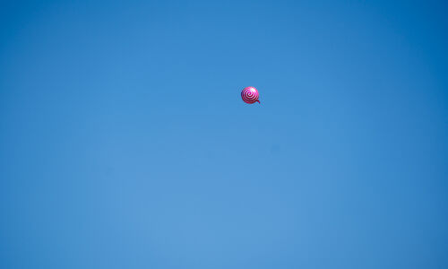 Drakenboot 2026 zaterdag 80